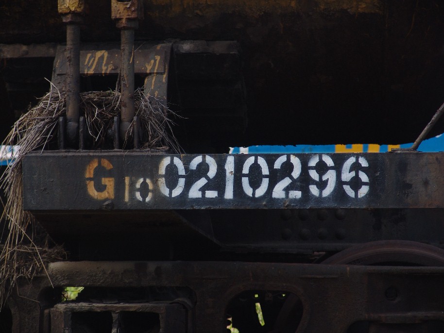 G10 2.jpg